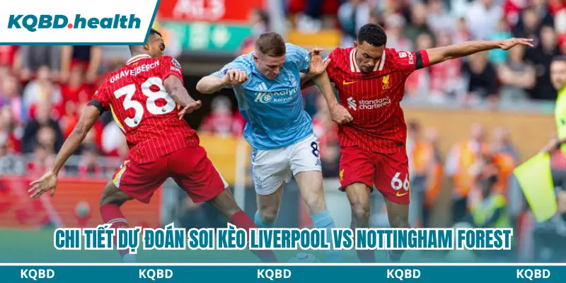 Dự Đoán Liverpool Vs Nottingham Forest Lúc 18H30 Ngày 29/08 - Ngoại Hạng Anh 4 Đội hình ra sân dự kiến của 2 CLB Ngoại Hạng Anh ngày 29/08