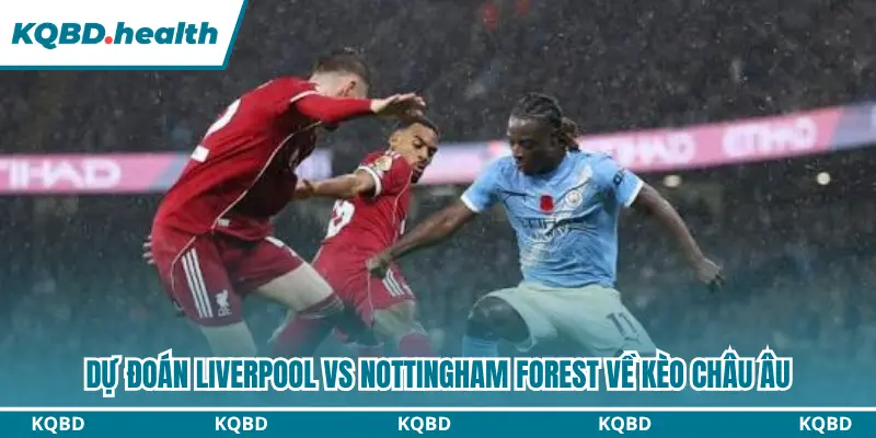 Dự Đoán Liverpool Vs Nottingham Forest Lúc 18H30 Ngày 29/08 - Ngoại Hạng Anh 3 Dự đoán kèo châu Âu chính xác trận Liverpool vs Nottingham Forest